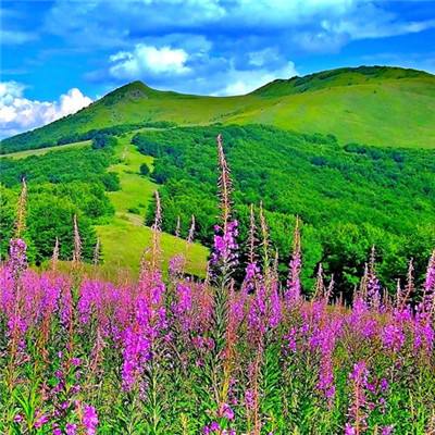 山西立法保护五台山文化景观